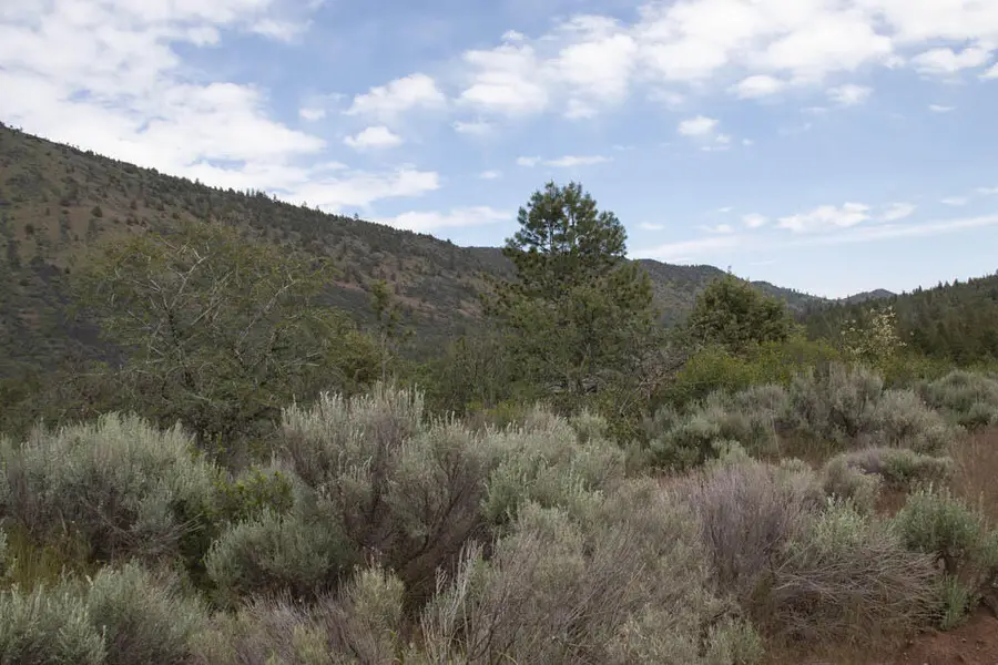 Stoneridge Drive #Lot 60, Klamath Falls, OR 97601 - #2