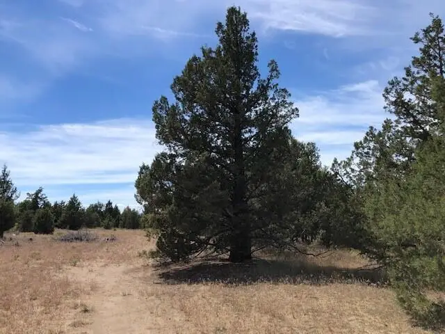 13911 SE Navajo Road, Prineville, OR 97754 - #2