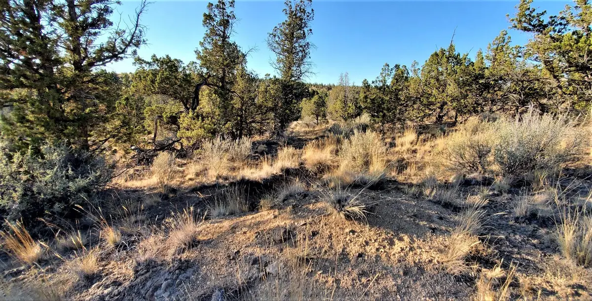 2330 SE Texas Circle, Prineville, OR 97754 - #1