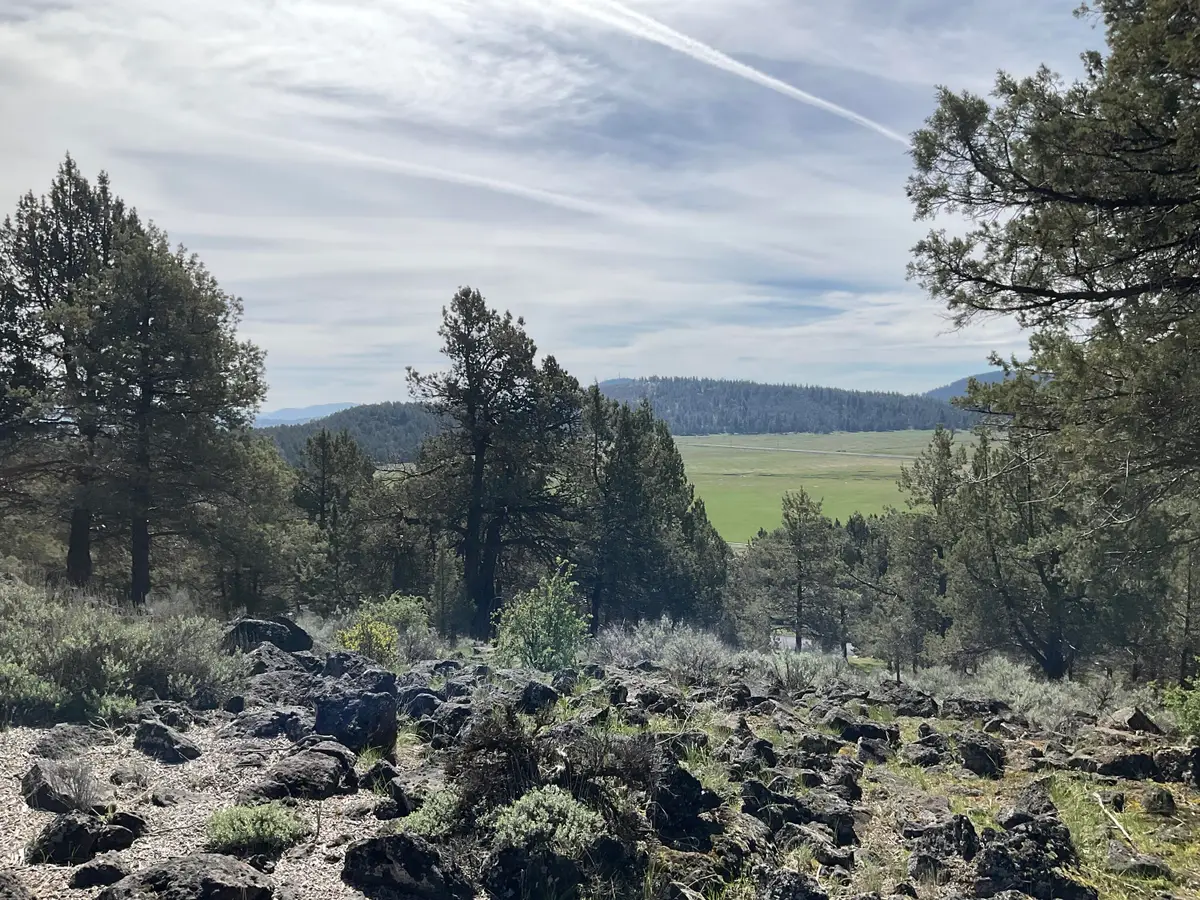 Lot 1210 Fox Sparrow Drive, Klamath Falls, OR 97601 - #1