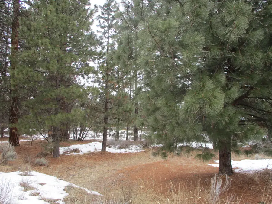 3525 Cayuse Circle, Chiloquin, OR 97624 - #3