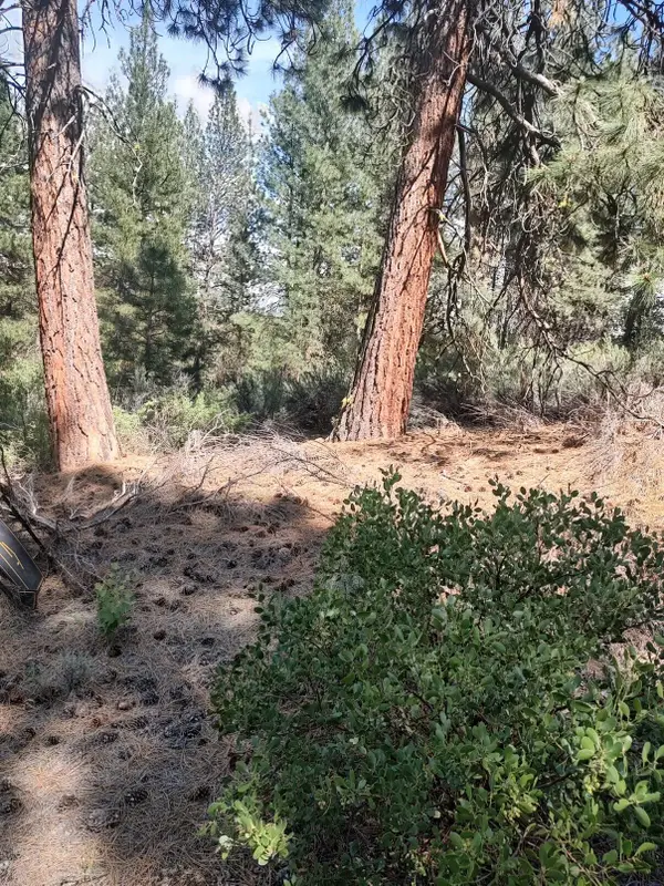 0 Stillwater Way #Lot 16, Chiloquin, OR 97624