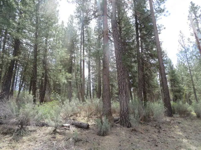 0 Twin River Drive #2, Chiloquin, OR 97624 - #1