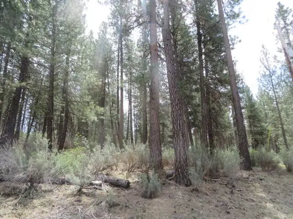 0 Twin River Drive #2, Chiloquin, OR 97624