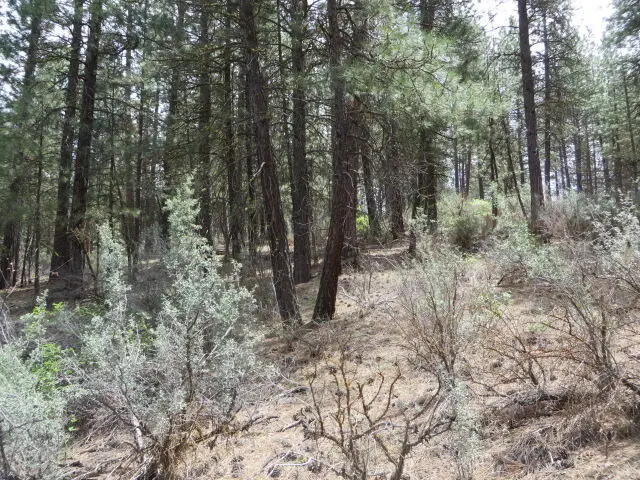 0 Twin River Drive #2, Chiloquin, OR 97624 - #3