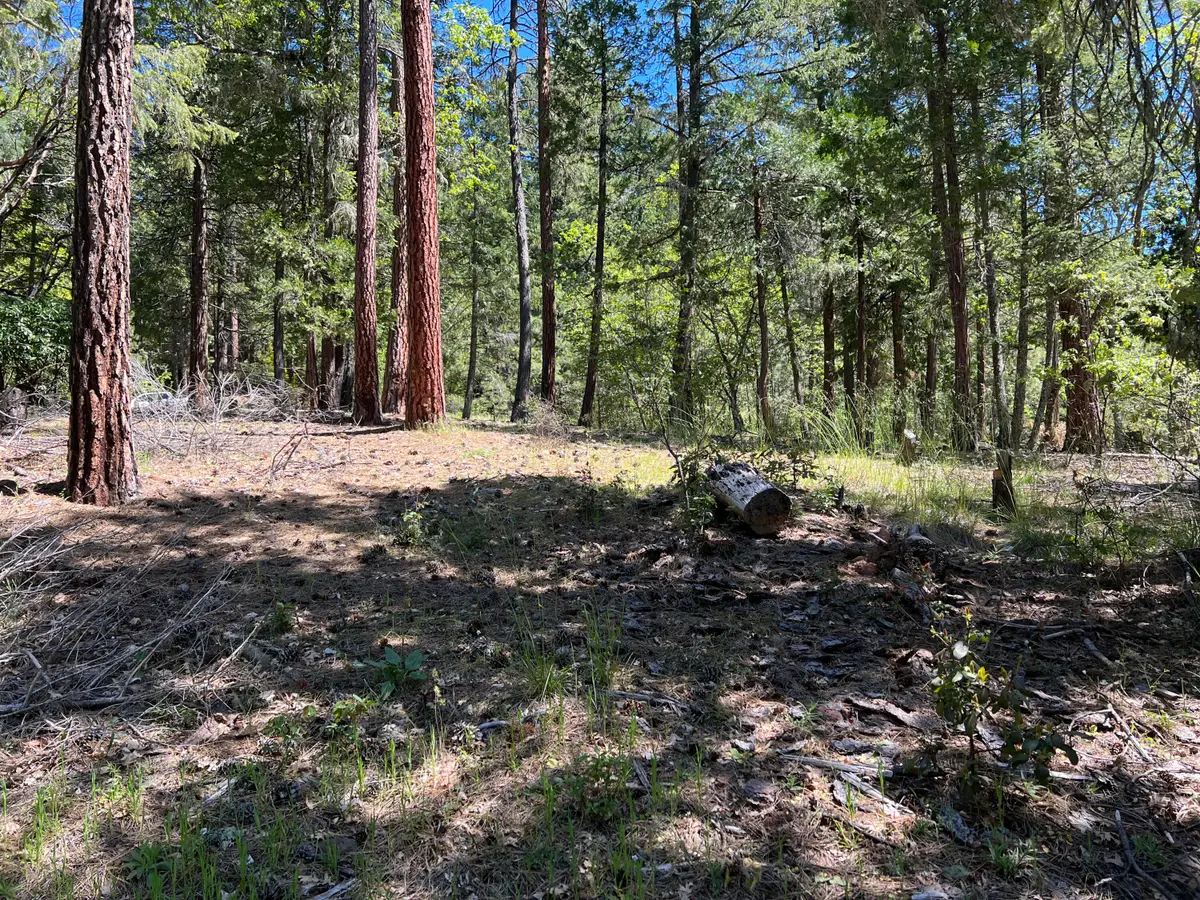 00347 Flounce Rock Rd, Prospect, OR 97536 - #1