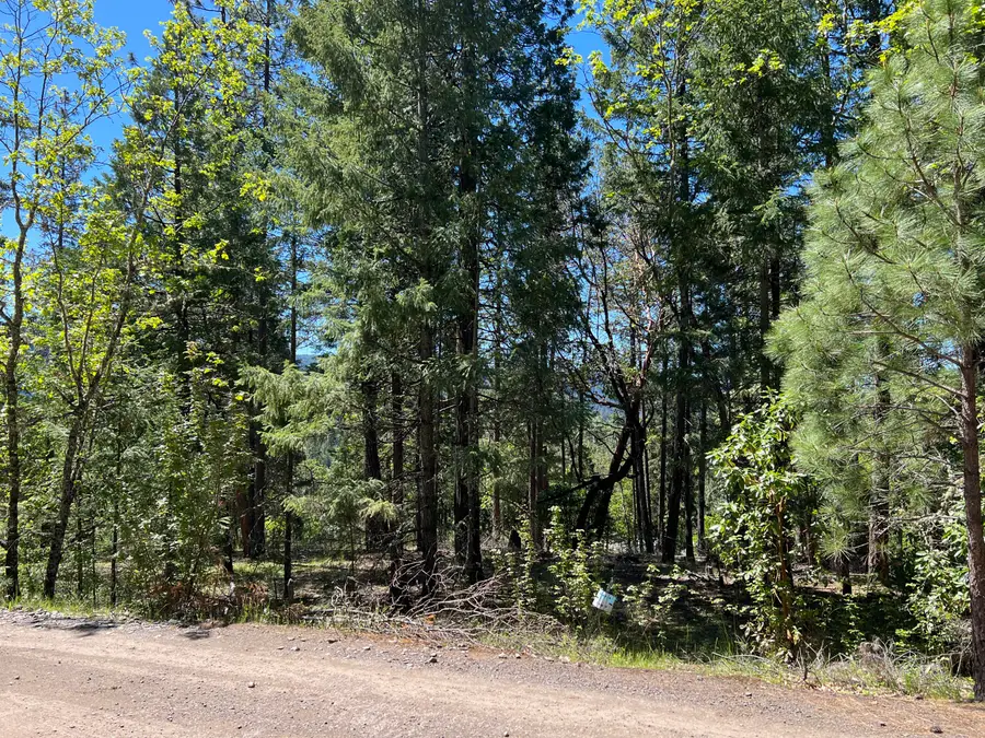 00347 Flounce Rock Rd, Prospect, OR 97536 - #2
