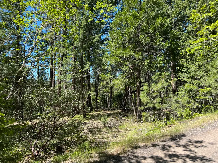 00347 Flounce Rock Rd, Prospect, OR 97536 - #3