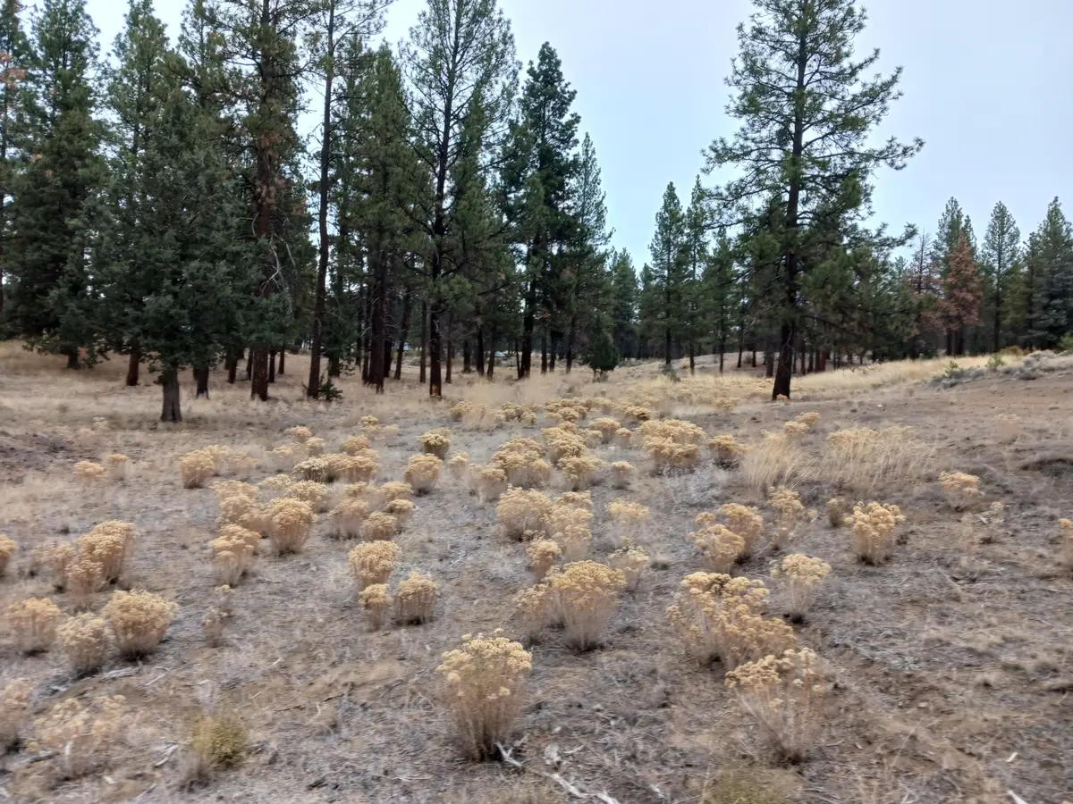 0 Arrowhead Lane #Lot 20, Chiloquin, OR 97624 - #1