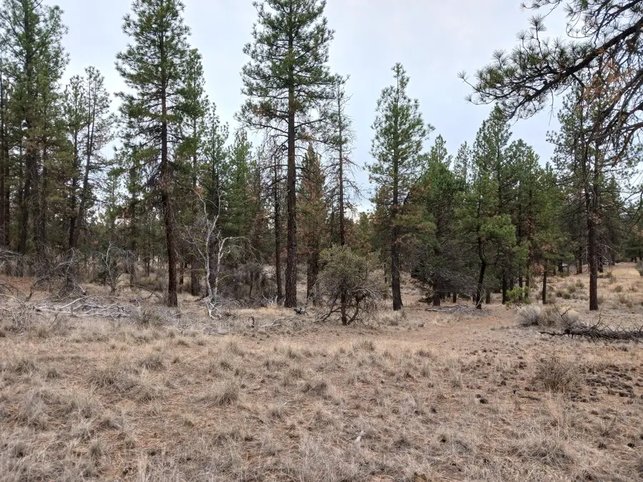 0 Arrowhead Lane #Lot 20, Chiloquin, OR 97624 - #2