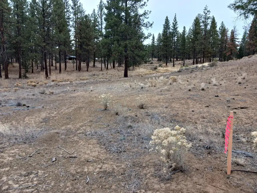 0 Arrowhead Lane #Lot 20, Chiloquin, OR 97624 - #3