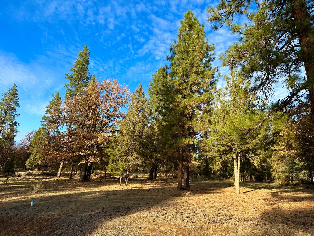 Merganser Road #Lot 106, Klamath Falls, OR 97601 - #1
