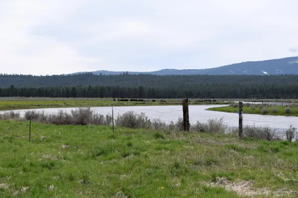 Easement Off Skeen Ranch Road, Sprague River, OR 97639