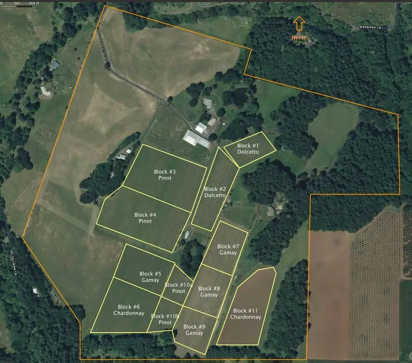 7820 SE Amity Road, Amity, OR 97101 - #2