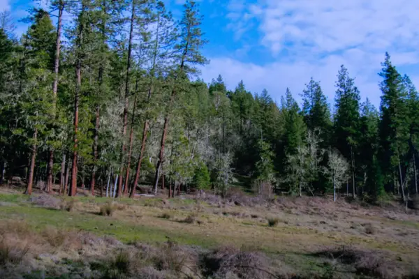 0 Cobleigh Road, Butte Falls, OR 97522