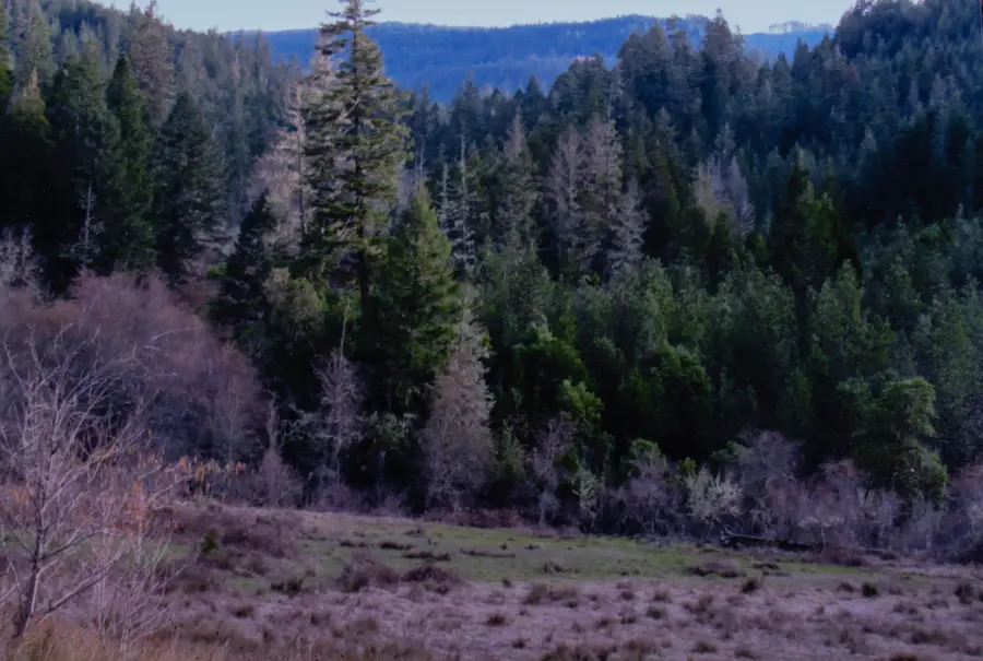 0 Cobleigh Road, Butte Falls, OR 97522 - #2