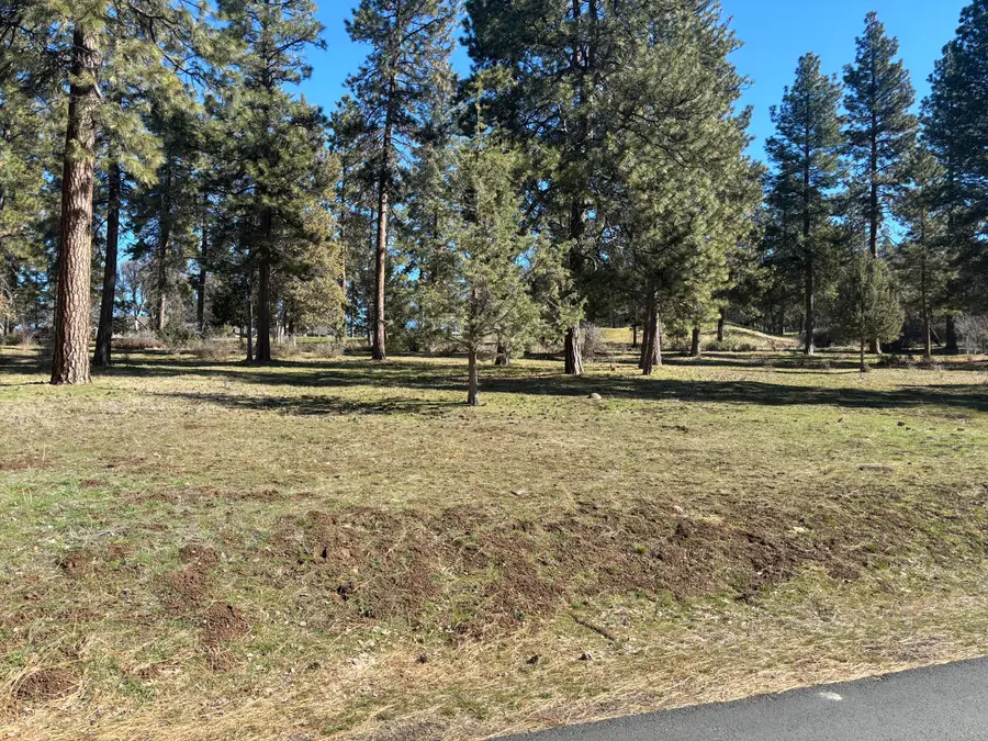11925 Merganser Road, Klamath Falls, OR 97601 - #2