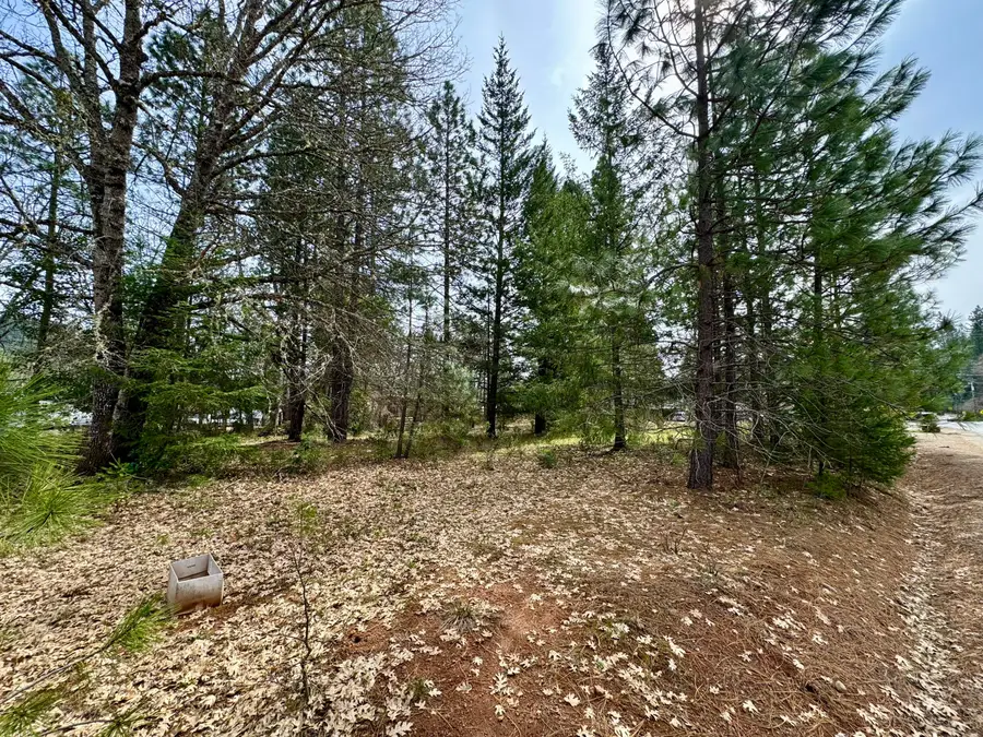 N Old Stage Road, Cave Junction, OR 97523 - #2
