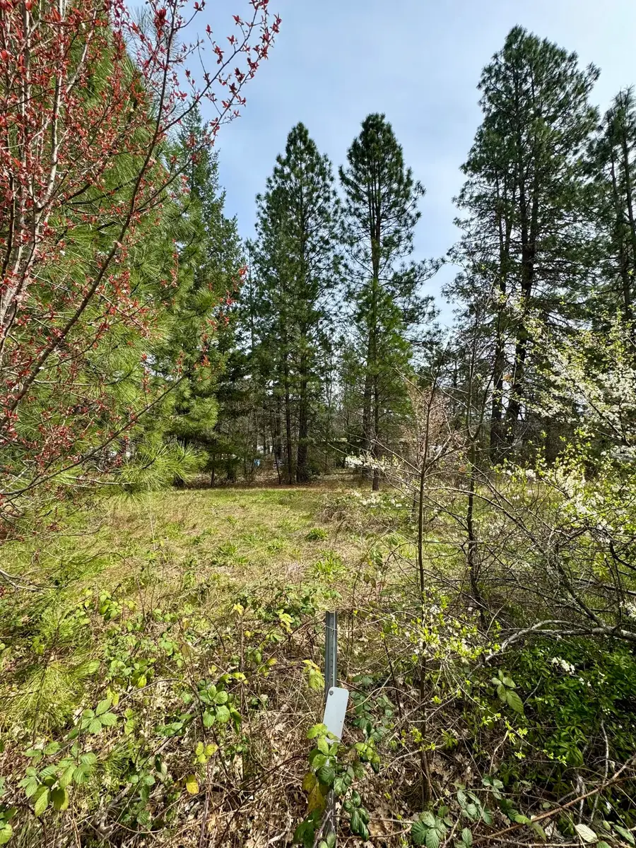 N Old Stage Road, Cave Junction, OR 97523 - #3