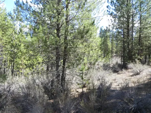 B13 L2 Kamkaun #2, Chiloquin, OR 97624