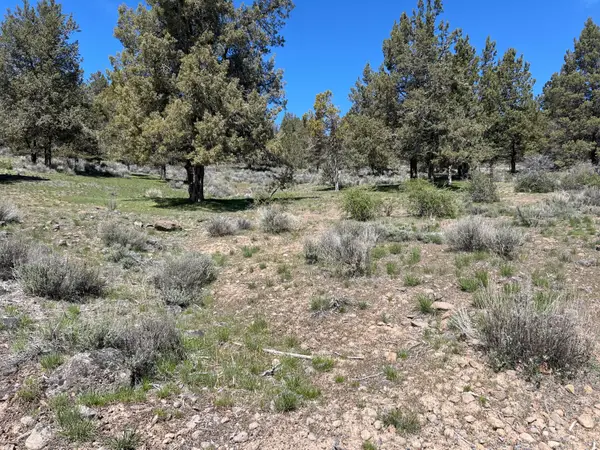 Lot 1195 Murrelet Road, Klamath Falls, OR 97601