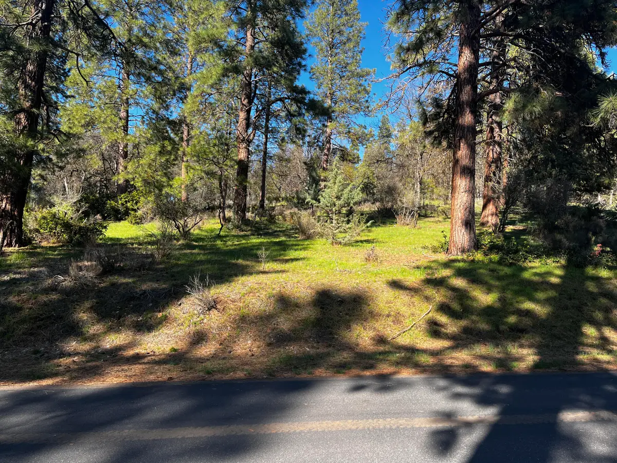 0 Merganser Road #Lot 110, Klamath Falls, OR 97601 - #1
