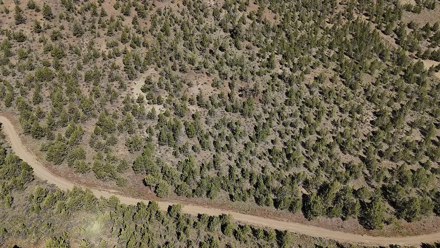 SE Osprey Road, Prineville, OR 97754 - #3