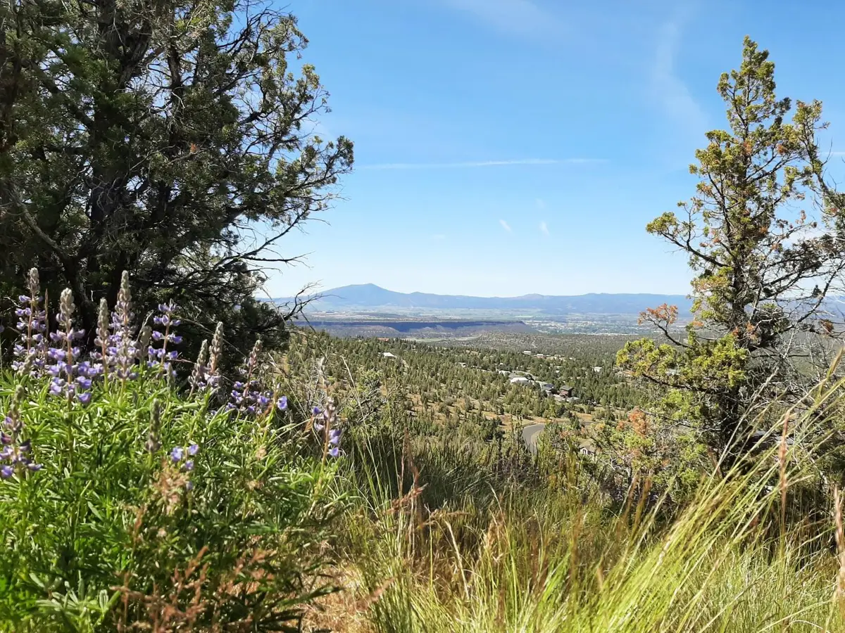 SE Night Hawk Court, Prineville, OR 97754 - #1