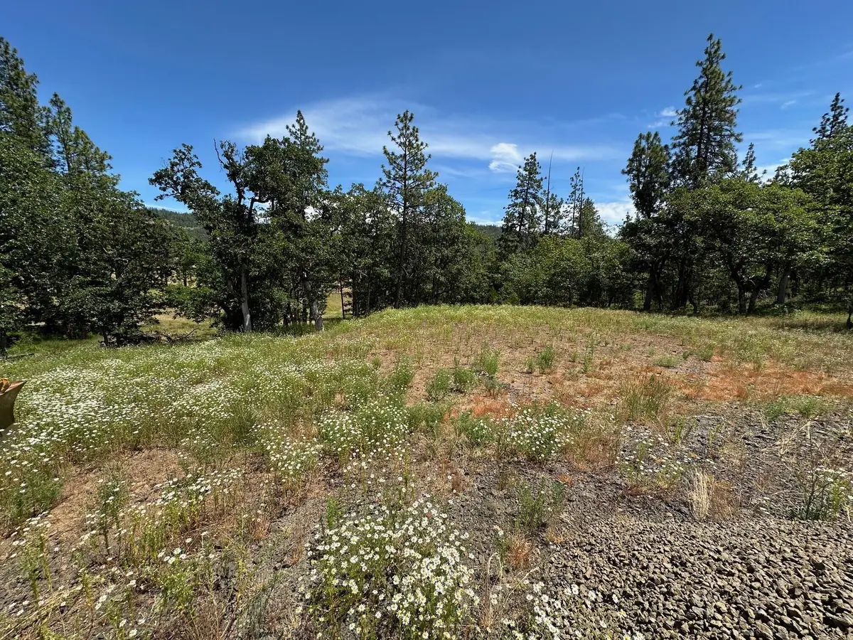 551 Hudspeth Lane, Shady Cove, OR 97539 - #1