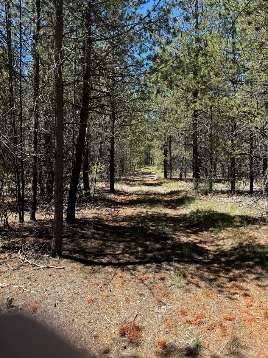 Nfd 440 Road, Chiloquin, OR 97624 - #2