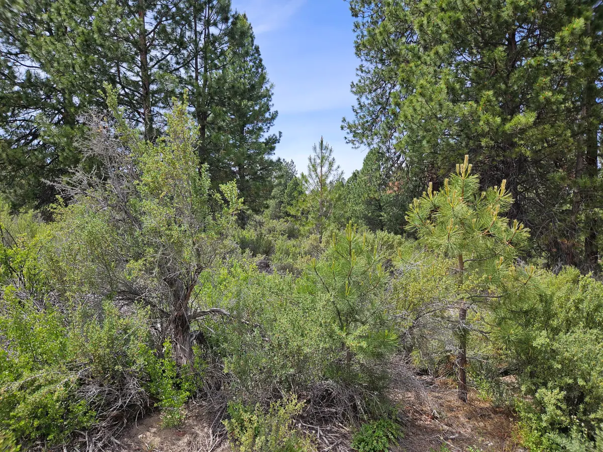 00 Pine Ridge Loop #Lot 7, Chiloquin, OR 97624 - #1