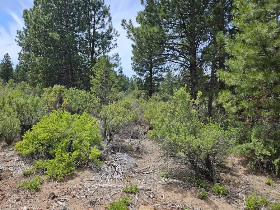 00 Pine Ridge Loop #Lot 7, Chiloquin, OR 97624 - #2