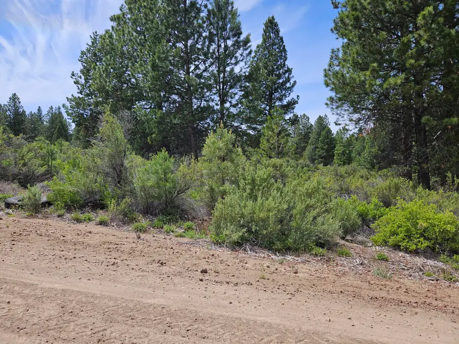 00 Pine Ridge Loop #Lot 7, Chiloquin, OR 97624 - #3