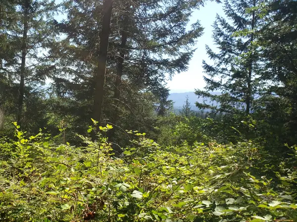 525 Sherier Road, Cave Junction, OR 97523