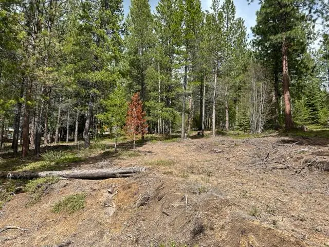 43 Clear Spring Way #43, Crescent Lake, OR 97733 - #1