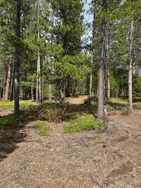 43 Clear Spring Way #43, Crescent Lake, OR 97733 - #2
