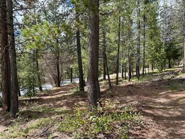 43 Clear Spring Way #43, Crescent Lake, OR 97733 - #3