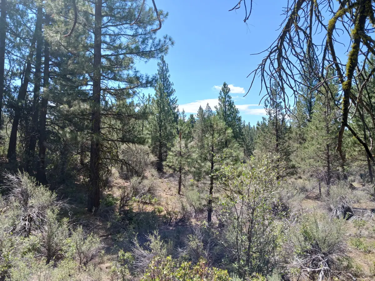 0 Oriole Drive #Lot 12, Bonanza, OR 97623 - #1