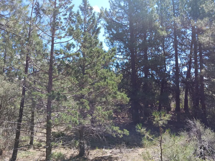 0 Oriole Drive #Lot 12, Bonanza, OR 97623 - #2