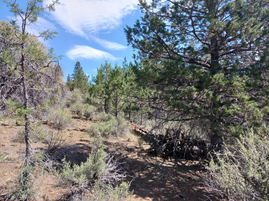 0 Oriole Drive #Lot 12, Bonanza, OR 97623 - #3
