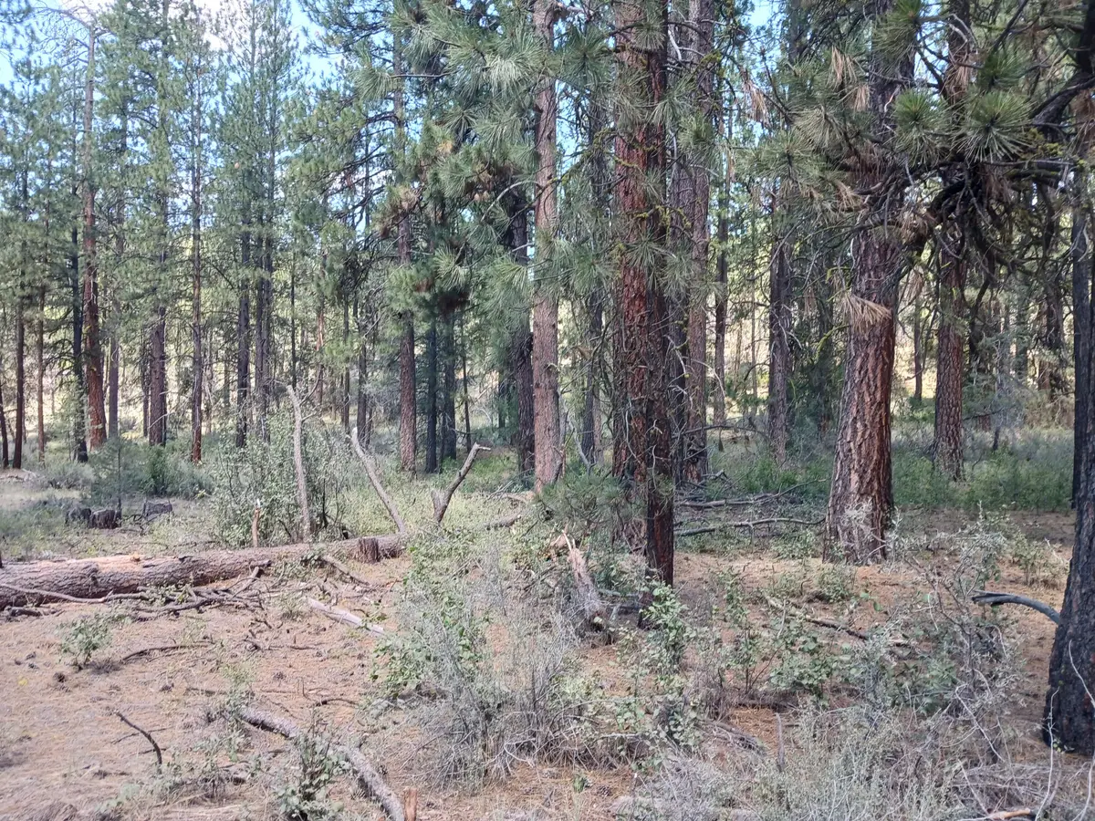 0 Oriole Drive #Lot 13, Bonanza, OR 97623 - #1