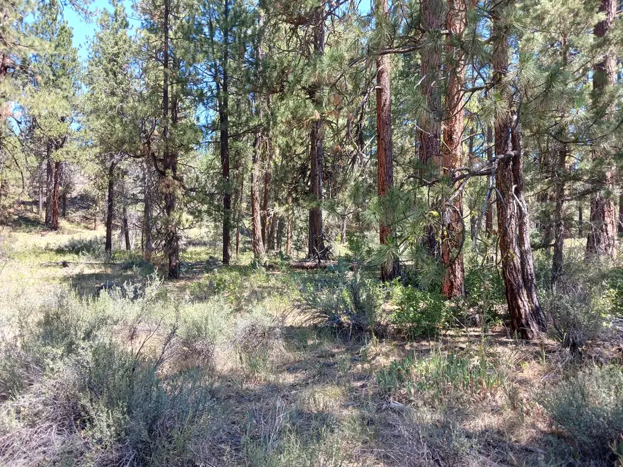 0 Oriole Drive #Lot 13, Bonanza, OR 97623 - #2