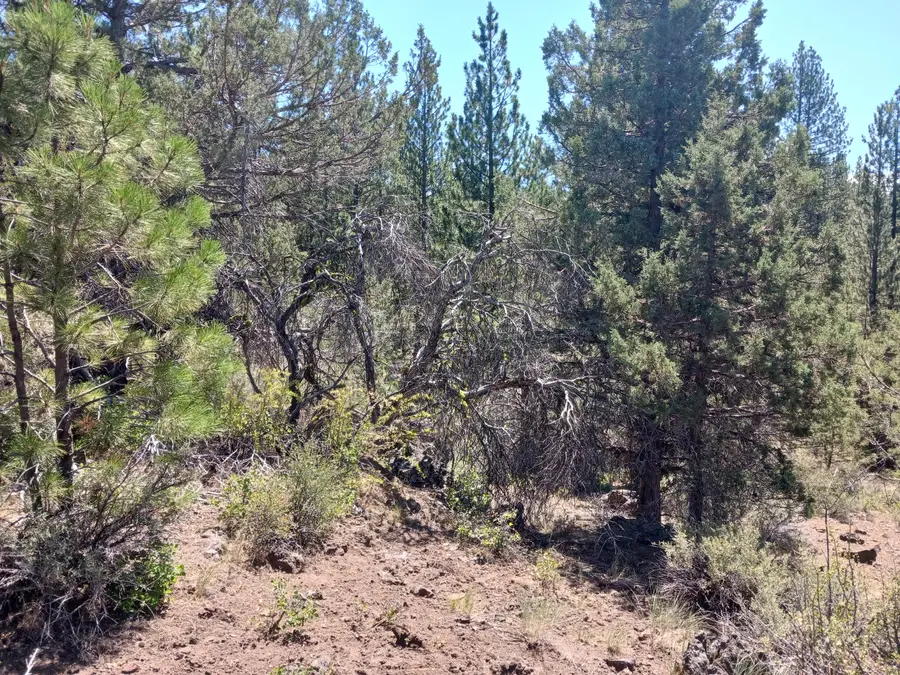 0 Oriole Drive #Lot 13, Bonanza, OR 97623 - #3