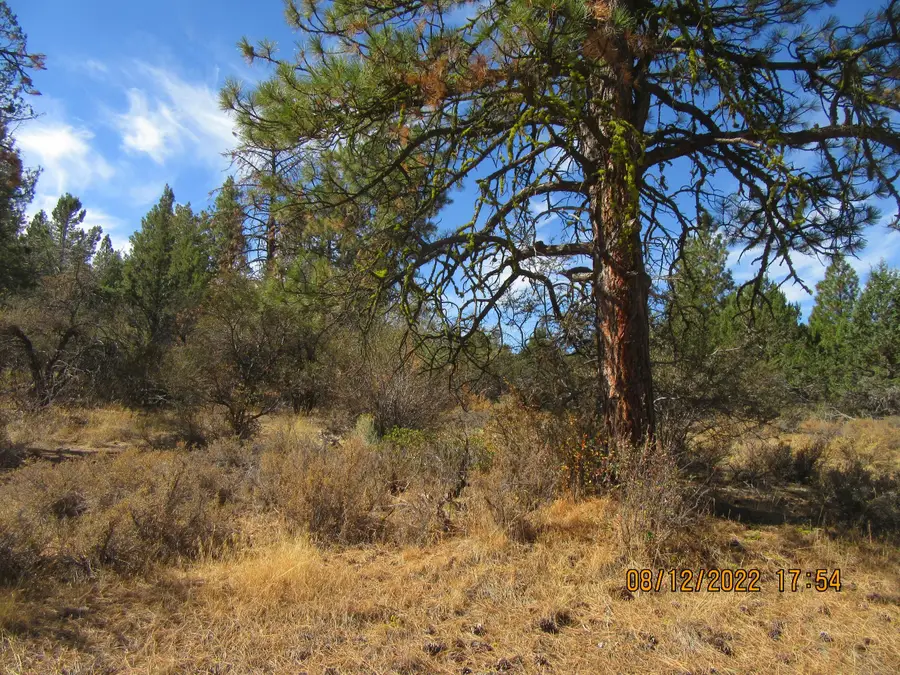 Lot 2 Tiger Lane, Bonanza, OR 97623 - #2
