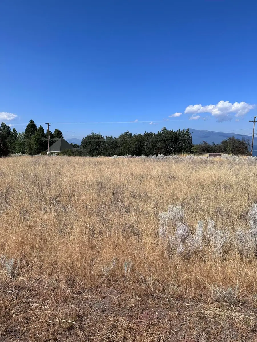 Lots 1 & 2 Golden Meadow Road, Chiloquin, OR 97624 - #2