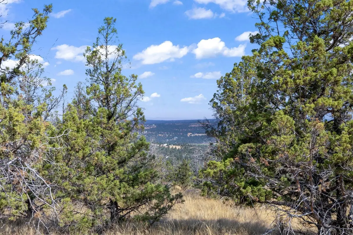 15875 SE Winchester Loop, Prineville, OR 97754 - #1