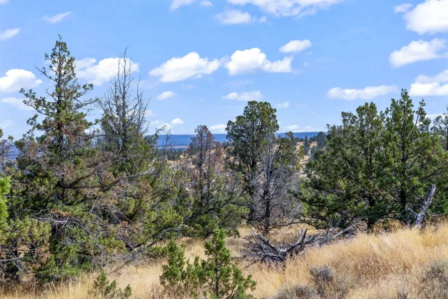 15875 SE Winchester Loop, Prineville, OR 97754 - #2