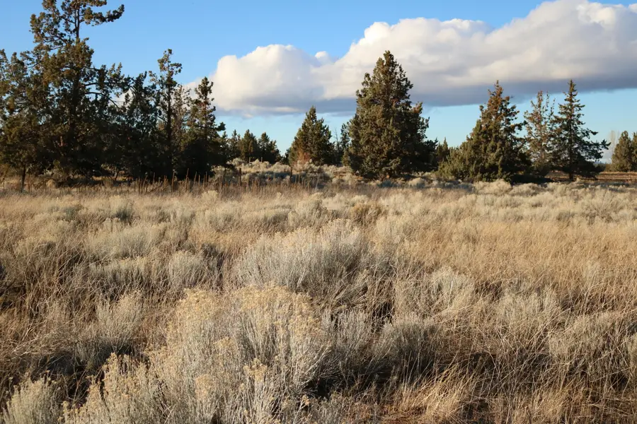 21620 NE Butler Market Road, Bend, OR 97701 - #2
