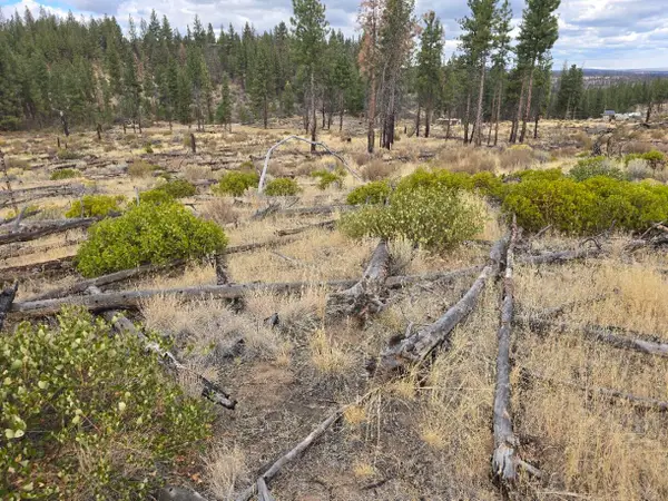 0 Partin Drive #19, Beatty, OR 97621