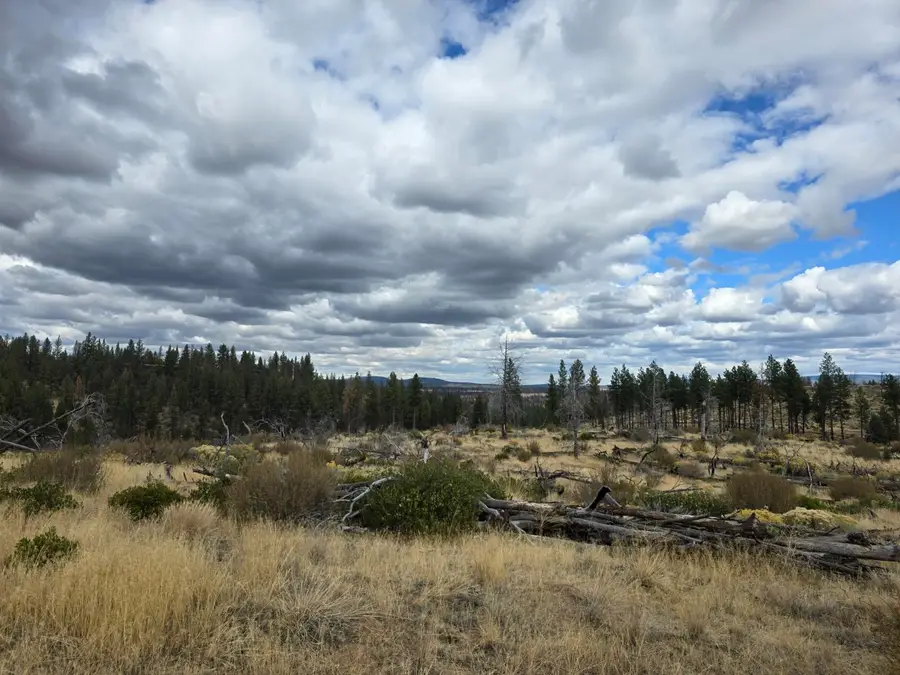 0 Partin Drive #19, Beatty, OR 97621 - #2